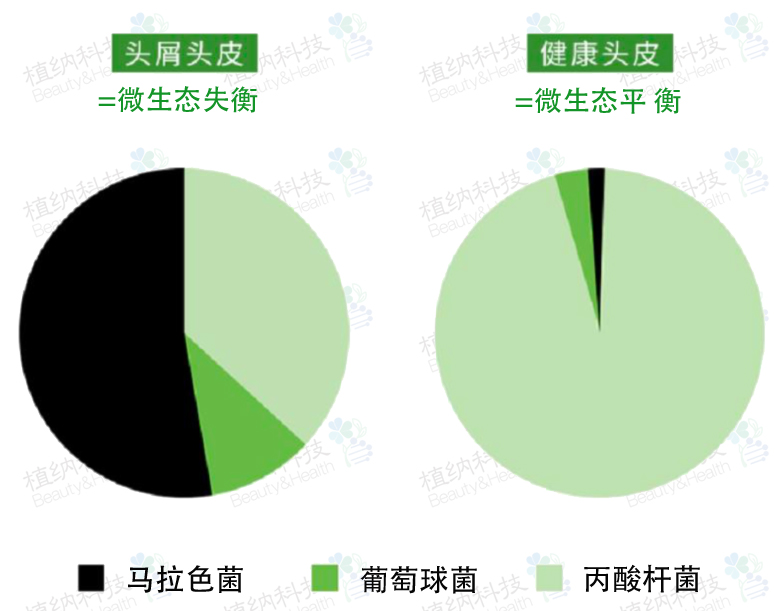功效試驗0.jpg