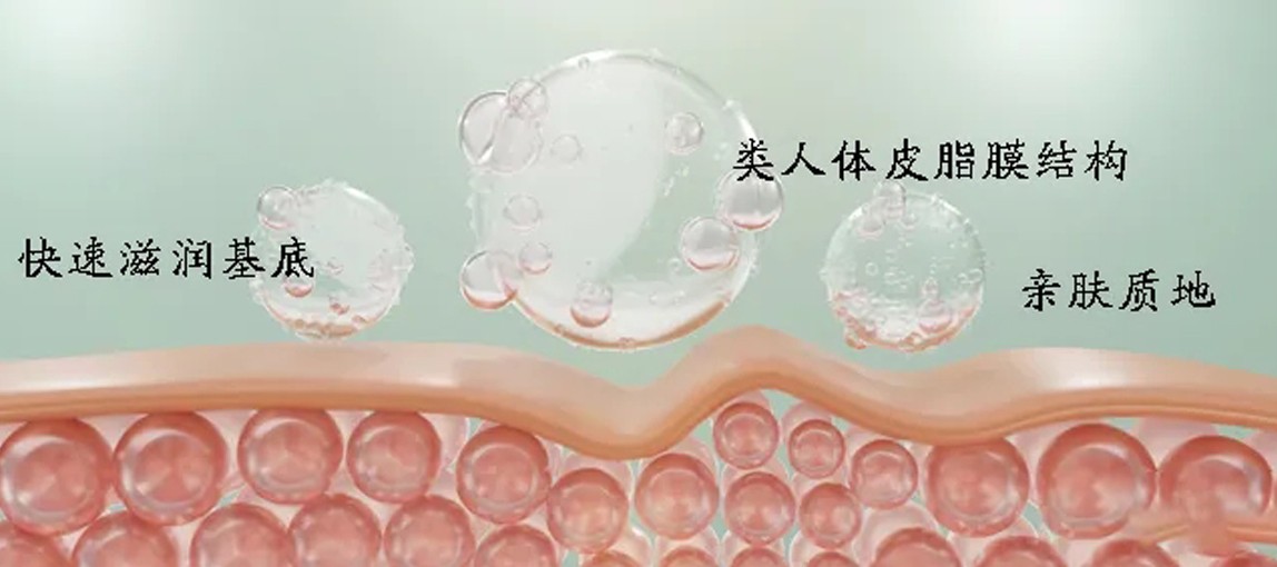 揭秘尖端生物科技：植物仿生皮脂，模擬細(xì)胞間脂質(zhì)功效，修護(hù)皮膚屏障，強(qiáng)韌肌膚！